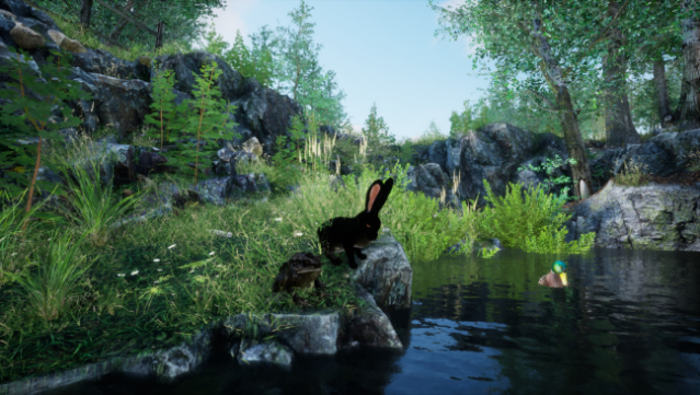 Rabbit Meadow Gameplay Screenshot
